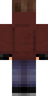 Задняя часть скина игрока TheForeng