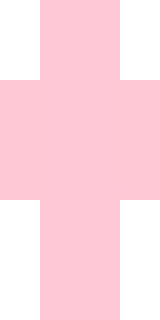 Задняя часть скина игрока TheMijinxD