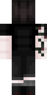 Задняя часть скина игрока TheMishaRemy