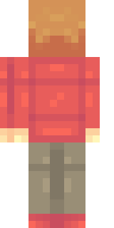 Задняя часть скина игрока TheMrPasha