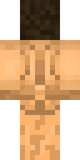 Задняя часть скина игрока ThePenisBuilder2