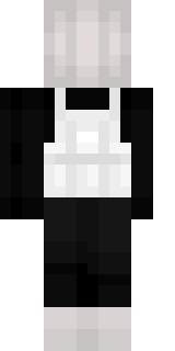 Задняя часть скина игрока TheSeanes