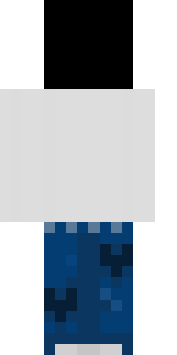 Задняя часть скина игрока TheShelly