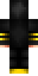 Задняя часть скина игрока TheSirVil_