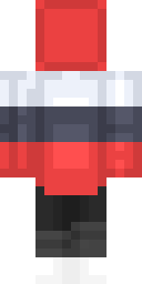 Задняя часть скина игрока TheType100