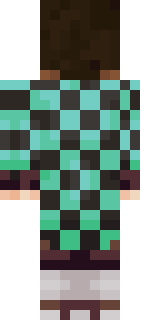 Задняя часть скина игрока The_Pashulya