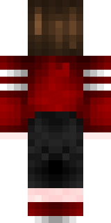 Задняя часть скина игрока TimTim4