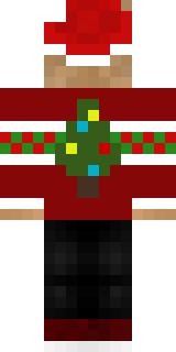 Задняя часть скина игрока ToLiK_ToP323