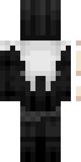 Задняя часть скина игрока Tokci4na9lTyan