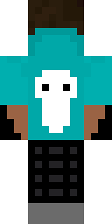 Задняя часть скина игрока Tom_Gamer117