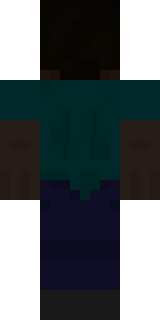 Задняя часть скина игрока Toong