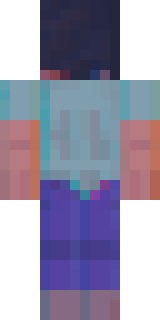 Задняя часть скина игрока Topiez