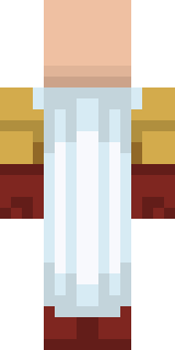 Задняя часть скина игрока TorveCraft