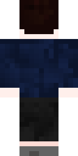 Задняя часть скина игрока TrollJob