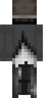 Задняя часть скина игрока Unplagged