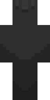 Задняя часть скина игрока ValterHero