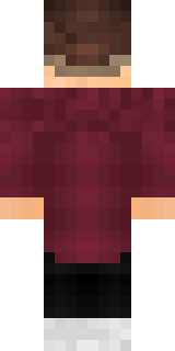 Задняя часть скина игрока VanyaCekcu_