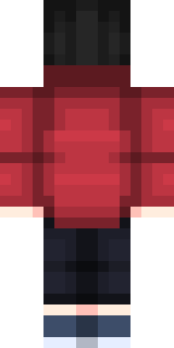 Задняя часть скина игрока Velli