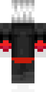 Задняя часть скина игрока Venic_TV