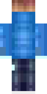 Задняя часть скина игрока Verzotion