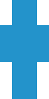 Задняя часть скина игрока VimeWorld