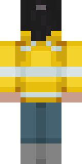 Задняя часть скина игрока VizArDyy