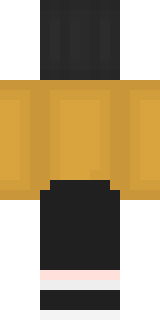 Задняя часть скина игрока Vizir_YT