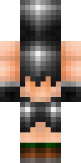 Задняя часть скина игрока Vokin_