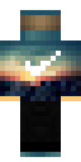 Задняя часть скина игрока Wertol_lox