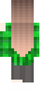 Задняя часть скина игрока WingS_OF_