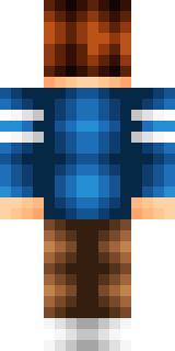 Задняя часть скина игрока Wither2013