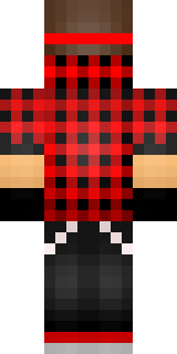 Задняя часть скина игрока XealGamer