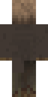 Задняя часть скина игрока XkailX