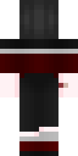 Задняя часть скина игрока ZLEYD