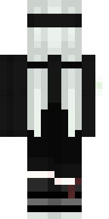 Задняя часть скина игрока ZLIDEN