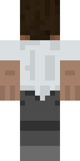 Задняя часть скина игрока ZaharZaharZahar