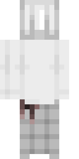 Задняя часть скина игрока Zertik228