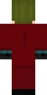 Задняя часть скина игрока Zivind