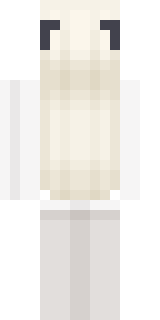 Задняя часть скина игрока _Andruud_