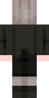 Задняя часть скина игрока _Articogames_