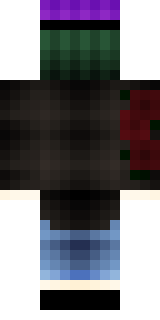 Задняя часть скина игрока _Blazork_