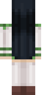 Задняя часть скина игрока _Envy