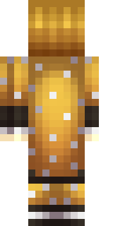 Задняя часть скина игрока _Fissy_
