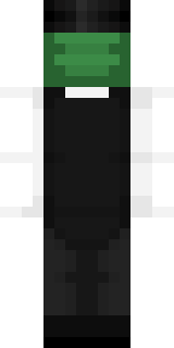 Задняя часть скина игрока _Frogy