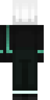 Задняя часть скина игрока _Holz_