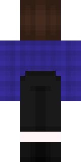 Задняя часть скина игрока _JonnyGaming_