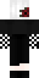 Задняя часть скина игрока _Korea