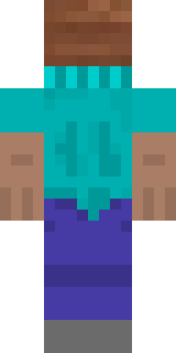 Задняя часть скина игрока _LOSTI_YT