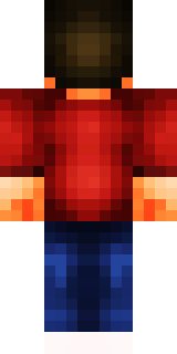 Задняя часть скина игрока _MR_STEVE_123456