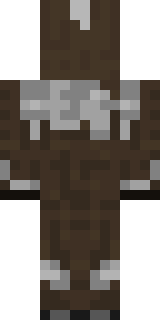 Задняя часть скина игрока _MikaCool_